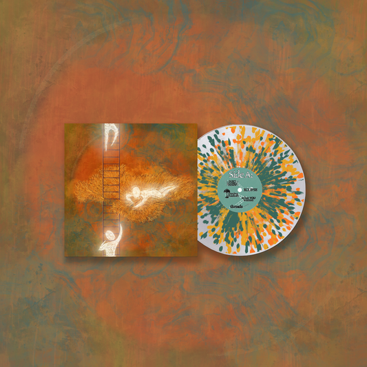 Rohna "Don't Come Down" Vinyl
